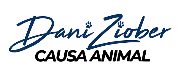 Dani Ziober - Causa Animal